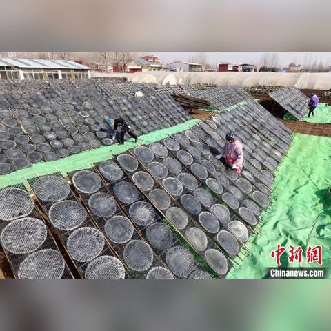 枣庄地图攻略大全，最新指南助你畅游无阻！