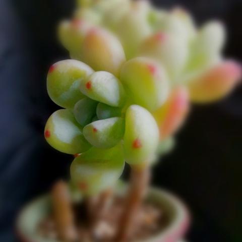谁能宠我一下小说百度云，温暖人心的故事，百度热推必读佳作！