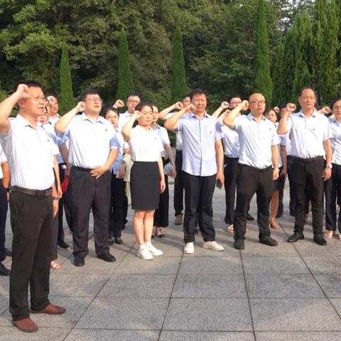 担保融资公司排名揭晓，行业领导者及未来发展潜力展望
