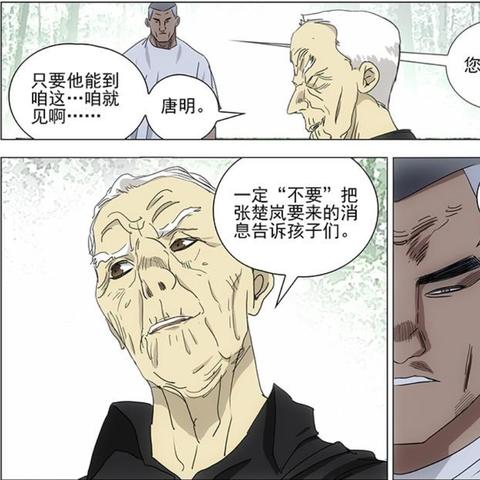 菜鸟大掌门阵容攻略，最新搭配与战术解析，助你轻松登顶！