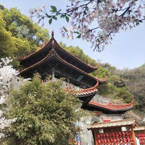 扬州科目三最新考试路线解析，详细解读最新二号路线！
