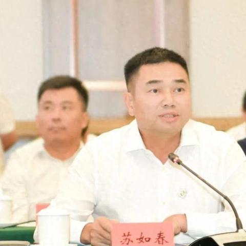 广东湛江最新动态，城市发展与更新概述