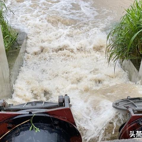 鱼池泵站创新技术引领未来生态发展之路