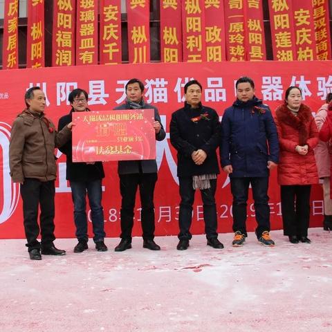 枞阳电商贷款新闻聚焦，电商金融新篇章开启