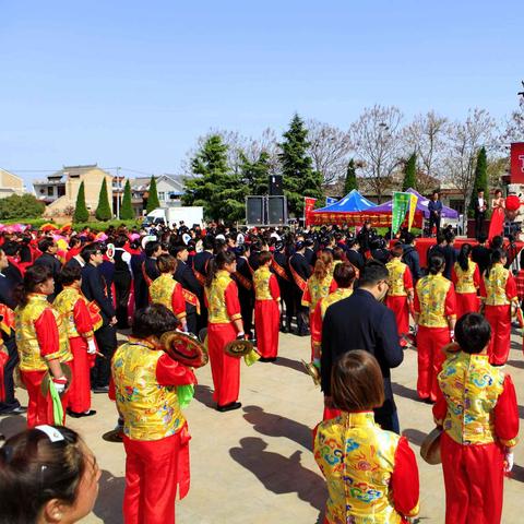 全球大河排名及长度大揭秘，探寻蓝色脉络的壮丽之旅