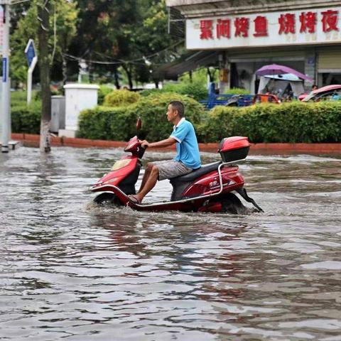 遂宁封路区域图实时查询，轻松掌握路况，便捷出行指南