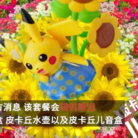今日鸭价走势预测，洞悉市场趋势，未来展望大揭秘！