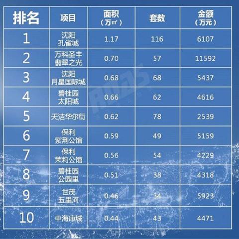 思云公司行业排名背后的成功秘诀探寻