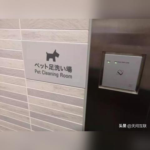 虎门宠物公司排名揭晓，专业服务品质与信誉之战