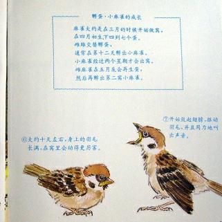 世界图书绘本排行榜，激发儿童想象力的奇妙翅膀
