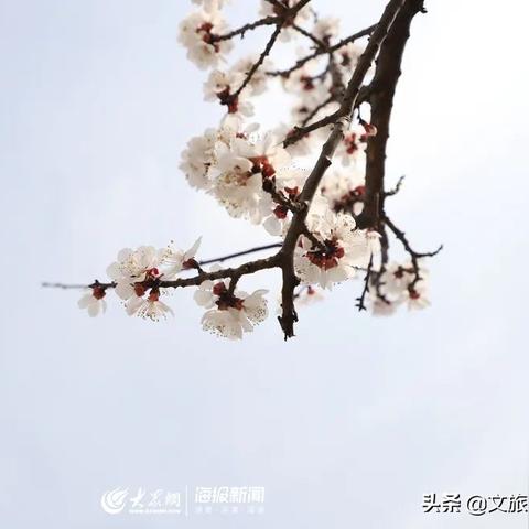 日照郊外旅游攻略大揭秘，探索日照之美，让你流连忘返！