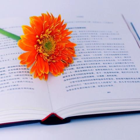 决战高考，励志名言助你一臂之力，砥砺前行实现梦想！