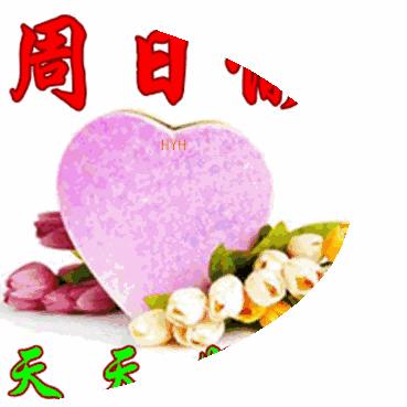 治愈语录与励志美图，探寻内心力量的源泉，激发无限潜能！