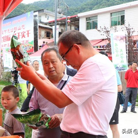 宁陕新闻热点聚焦，地方新闻的魅力与价值探索
