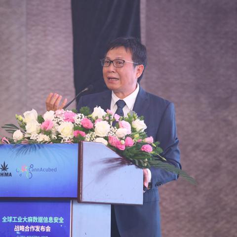 全球农业数据大揭秘，现状与发展趋势排名解析