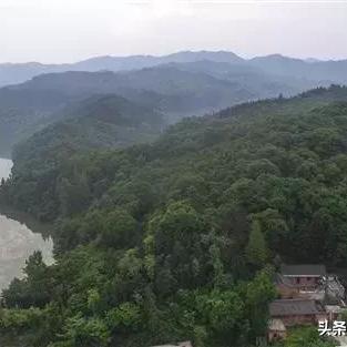 霍山森林生态保护最新进展与亮点新闻头条揭秘