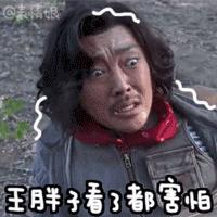 揭秘百度搜索真相，你真的了解搜索引擎的力量与局限吗？