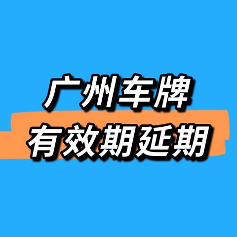 本地车牌攻略最新查询，出行必备指南