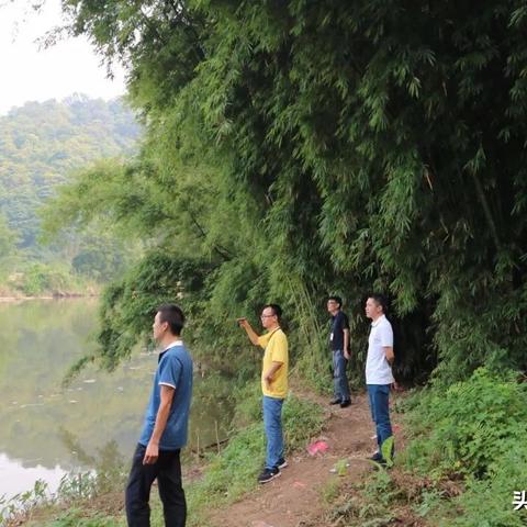 清远有害生物公司排名榜揭晓，专业服务品质与信誉并存之选