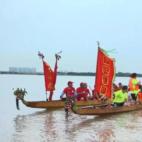 肇庆沙浦最新新闻头条，一览无余！