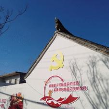南阳小麦市场行情深度解析，最新动态，一网打尽！
