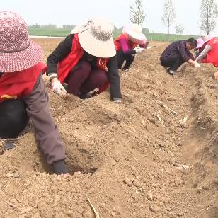 平顶山发电分公司排名榜，探寻能源行业的领军者