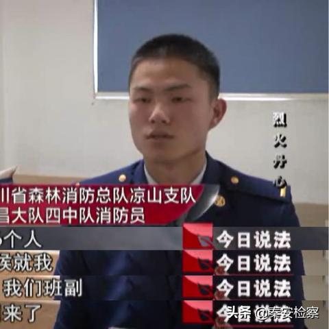 今日说法揭秘，结婚案件最新动态解析