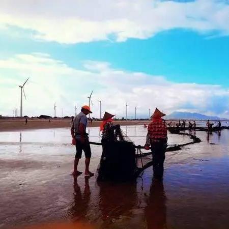 霞浦自助游攻略大全，畅游美景，尽享独特风情！