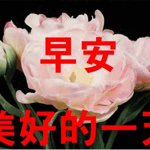 2025年6月11日 第10页