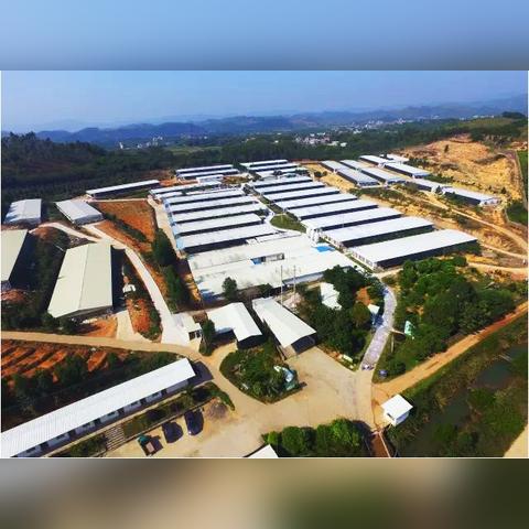 白水民房最新出售信息，探寻理想家园，优质房源一网打尽