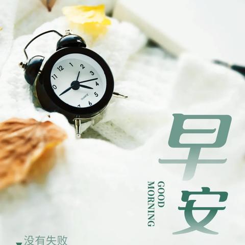 励志干货日常，每日努力前行的动力语录