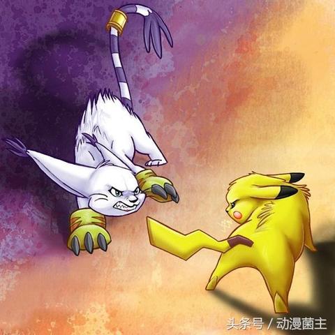 汤姆猫，虚拟萌宠新星，带你畅游奇幻世界！