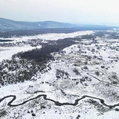 塞罕坝冬季冰雪秘境旅游攻略探索绝美风光