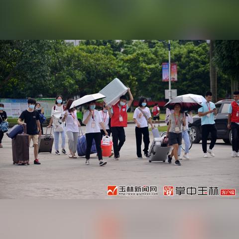 玉林新闻直播，掌握最新动态，直击城市发展现场