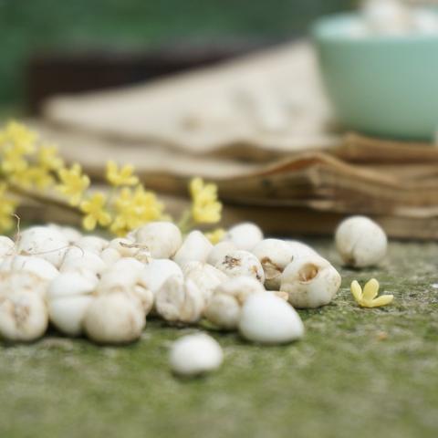广东中药饮片公司排名大揭秘，品质与信誉的双重考验