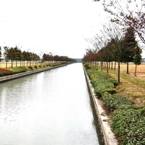松江治水行动，守护绿色生态，共建美好家园