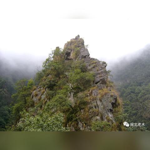 溪源庵路线攻略大全，最新详细指南