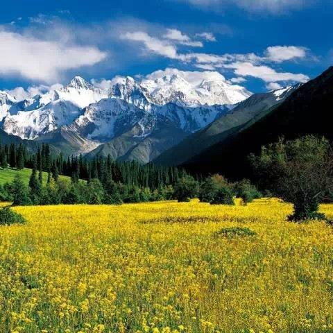 独家珍藏！重温神秘天山之旅，揭秘1994年新疆旅游攻略！