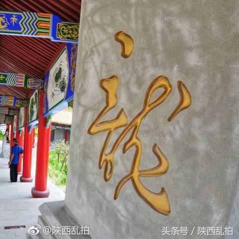 主城溪流探索指南，揭秘城市绿洲的隐秘魅力