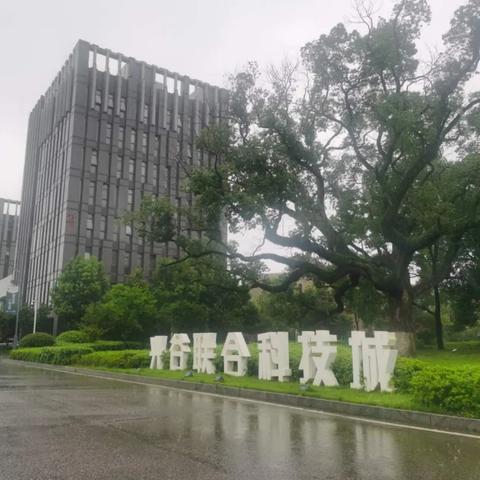 光谷出行攻略大揭秘，科技与自然共融的城市绿洲探索
