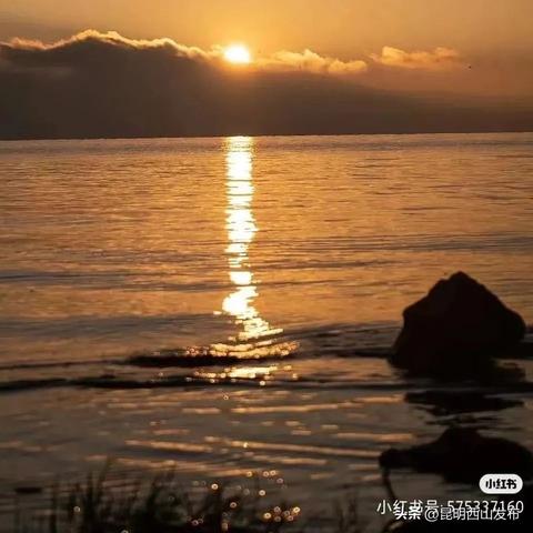 杨林约会指南，最新浪漫攻略大全