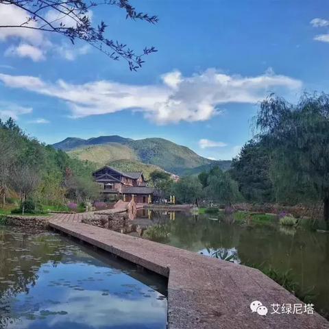 花谷地图全新攻略，探索指南带你畅游秘境！