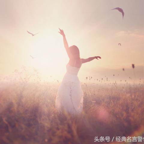 励志语录启示未来，探寻无限可能的明天之路