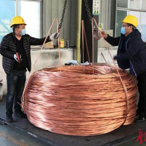 贵溪疫情最新动态，防控进展、应对举措，今日头条报道速递