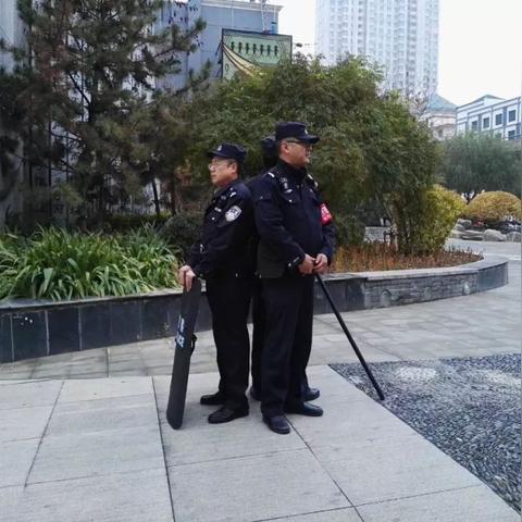 马小姐追梦智慧语录，激发无限力量，探寻梦想的真谛