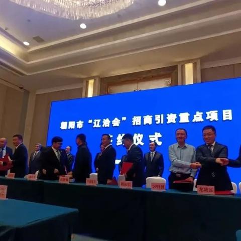 海贼王最新周刊揭秘，热血冒险新篇章震撼来袭！
