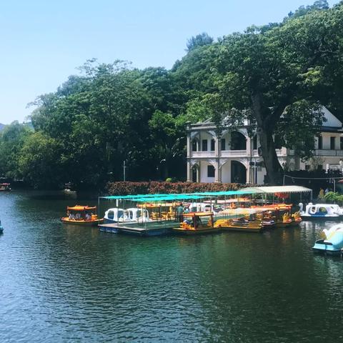 广东工业大学位列工业领域前十，璀璨明珠引领潮流