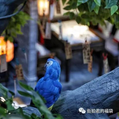 兰州十大老式饭馆盘点，品味历史美食的不二之选