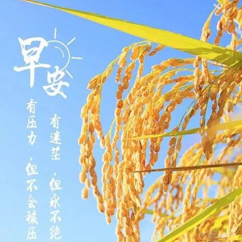 励志语录，五段鼓舞人心的力量源泉