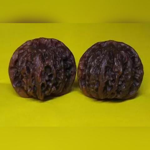 糠枣今日行情，价格走势分析，市场趋势及影响因素揭秘